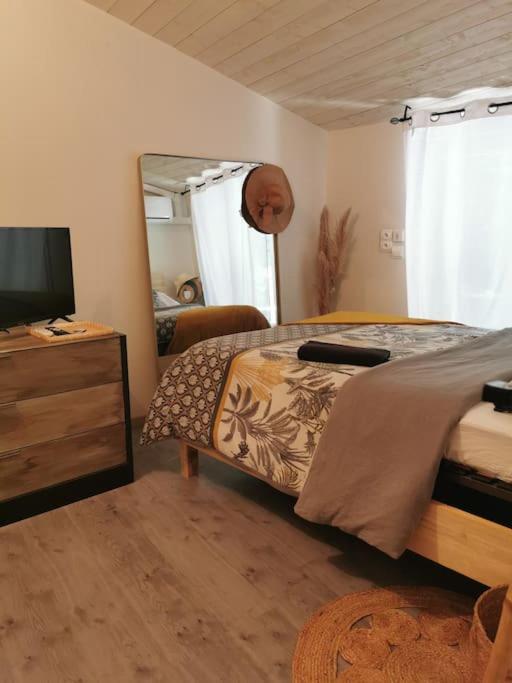 Chez Nathalie&Maxime Apartment Soreze ภายนอก รูปภาพ